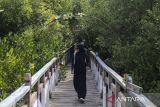 Wisatawan berjalan di kawasan Wisata Mangrove Pancer, Kasemen, Kota Serang, Banten, Minggu (20/4/2025). Kementerian Pariwisata berkomitmen untuk mengarahkan pembangunan pariwisata ke arah yang lebih ramah lingkungan dan berbasis masyarakat dengan memaksimalkan lima program unggulan yaitu Gerakan Wisata Bersih, Tourism 5.0, Pariwisata Naik Kelas, Event dengan Intellectual Property Indonesia, serta pembinaan masyarakat dan penguatan kapasitas lokal. ANTARA FOTO/Angga Budhiyanto/gp