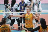 Pevoli Jakarta Popsivo Polwan Jessica Ann Mruzik (tengah) melakukan selebrasi bersama rekan setimnya saat melawan tim voli Jakarta Electric PLN pada pertandingan Final Four Proliga di GOR Jayabaya, Kota Kediri, Jawa Timur, Minggu (20/4/2025). Jakarta Popsivo Polwan menang dengan skor 3-2 (25-23), (20-25), (19-25), (25-17), dan (15-13). Antara Jatim/Prasetia Fauzani/um