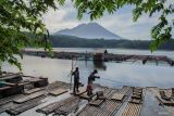 Sejumlah pembudidaya ikan beraktivitas di keramba miliknya di danau Ranu Klakah, Desa Tegalrandu, Kecamatan Klakah, Lumajang, Jawa Timur, Senin (21/4/2025). Budi daya ikan air tawar jenis nila di kawasan tersebut dapat menghasilkan 1,5 kuintal ikan dari satu petak keramba berukuran 22 meter persegi dan dapat dipanen setiap bulan yang kemudian dijual kepada wisatawan serta beberapa warga seharga Rp35 ribu per kilogramnya. ANTARA Jatim/Irfan Sumanjaya/mas.