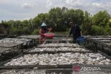 Pekerja menjemur ikan asin di Karangantu, Kota Serang, Banten, Selasa (22/4/2025). Badan Pusat Statistik (BPS) mencatat kinerja ekspor nonmigas bulan Maret 2025 mencapai 21,80 miliar dolar AS atau meningkat sebesar 4,71 persen dibandingkan bulan sebelumnya, di mana sektor pertanian, kehutanan, dan perikanan berkontribusi sebesar 0,57 miliar dolar AS atau naik 1,73 persen. ANTARA FOTO/Angga Budhiyanto/gp
