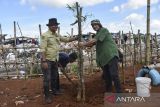 Wakil Walikota Tasikmalaya Diky Chandra Negara (kanan) menanam pohon bambu saat peringatan Hari Bumi Sedunia di Tempat Pembuangan Akhir (TPA) sampah Ciangir, Kota Tasikmalaya, Jawa Barat, Selasa (22/4/2025). Pemkot Tasikmalaya menggelar gerakan tanam pohon bambu dan tanaman keras yang ditanam di sekitar TPA dalam rangka memperingati Hari Bumi Sedunia bertema Bersama Kita Jaga Planet Bumi. ANTARA FOTO/Adeng Bustomi/agr
