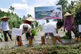Lombok Tengah dukung percepatan swasembada pangan nasional