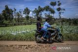 Pengendara melintasi jalan rusak di Desa Bojongkoneng, Ngamprah, Kabupaten Bandung Barat, Jawa Barat, Selasa (22/4/2025). Jalan poros penghubung sejumlah desa di Kecamatan Ngamprah dengan kecamatan sekitarnya rusak dan berlubang di sejumlah titik sehingga menghambat distribusi hasil pertanian dan membahayakan pengendara terutama pada malam hari. ANTARA FOTO/Abdan Syakura/agr