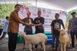 Wakil Bupati Lumajang Yudha Adji Kusuma (kiri) menyerahkan piala kepada peserta pemenang kontes ternak di Pasar Hewan Lumajang, Lumajang, Jawa Timur, Sabtu (24/4/2025). Dalam ajang yang diselenggarakan oleh Himpunan Kerukunan Tani Indonesia (HKTI) Lumajang bersama, Asosiasi Peternak Domba Lumajang (APDL), dan Himpunan Peternak Domba Kambing Indonesia (HPDKI) tersebut diikuti sebanyak 61 peserta dengan penilaian berdasarkan bobot, tinggi, panjang tubuh, serta aspek kebersihan dan kesehatan ternak sebagai upaya mendorong peningkatan kualitas peternakan di daerah itu. ANTARA Jatim/Irfan Sumanjaya/mas.