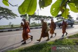 Biksu berjalan kaki saat melakukan ritual Thudong di jalur Pantura, Kandanghaur, Indramayu, Jawa Barat, Kamis (24/4/2025). Sebanyak 38 biksu dari berbagai negara Asia Tenggara melakukan perjalanan ritual Thudong dari Thailand menuju Candi Borobudur dalam rangka menyambut hari raya Waisak pada Waisak 12 Mei 2025 mendatang. ANTARA FOTO/Dedhez Anggara/foc.
