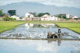 Petani membajak sawah di areal persawahan Tulungagung, Jawa Timur, Kamis (24/4/2025). Untuk memastikan ritme tanam dan capaian produksi padi pada kurun 2025, pemerintah menargetkan luas tambah tanam (LTT) minimal 1,6 juta ha setiap bulannya, termasuk 1,3 juta ha pada April 2025 dengan estimasi produksi gabah 7,5 juta ton. ANTARA Jatim/Destyan Sujarwoko/mas.