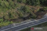 Foto udara jalan longsor di Desa Neglasari, Kabupaten Ciamis, Jawa Barat, Jumat (25/4/2025). Intensitas curah hujan tinggi di wilayah Kabupaten Ciamis mengakibatkan jalan alternatif yang menghubungkan Ciamis dengan Kabupaten Pangandaran dan Kabupaten Tasikmalaya longsor dan hanya bisa dilalui satu jalur atau buka tutup serta tidak bisa dilewati saat hujan deras. ANTARA FOTO/Adeng Bustomi/agr