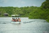 Wisatawan menaiki perahu menyusuri hutan mangrove di kawasan ekowisata mangrove Batu Lumbang, Denpasar, Bali, Sabtu (26/4/2025). Wisata keliling kawasan mangrove Taman Hutan Raya (Tahura) Ngurah Rai yang dibuka sejak akhir tahun 2023 itu setiap bulannya rata-rata dikunjungi oleh 2.400 wisatawan dan telah menjadi kegiatan usaha baru yang meningkatkan perekonomian masyarakat khususnya para nelayan setempat. ANTARA FOTO/Fikri Yusuf/wsj.