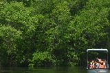 Wisatawan menaiki perahu menyusuri hutan mangrove di kawasan ekowisata mangrove Batu Lumbang, Denpasar, Bali, Sabtu (26/4/2025). Wisata keliling kawasan mangrove Taman Hutan Raya (Tahura) Ngurah Rai yang dibuka sejak akhir tahun 2023 itu setiap bulannya rata-rata dikunjungi oleh 2.400 wisatawan dan telah menjadi kegiatan usaha baru yang meningkatkan perekonomian masyarakat khususnya para nelayan setempat. ANTARA FOTO/Fikri Yusuf/wsj.