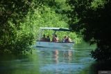 Wisatawan menaiki perahu menyusuri hutan mangrove di kawasan ekowisata mangrove Batu Lumbang, Denpasar, Bali, Sabtu (26/4/2025). Wisata keliling kawasan mangrove Taman Hutan Raya (Tahura) Ngurah Rai yang dibuka sejak akhir tahun 2023 itu setiap bulannya rata-rata dikunjungi oleh 2.400 wisatawan dan telah menjadi kegiatan usaha baru yang meningkatkan perekonomian masyarakat khususnya para nelayan setempat. ANTARA FOTO/Fikri Yusuf/wsj.