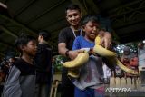 Anggota Komunitas Big Reptil mengalungkan ular kepada warga saat kegiatan edukasi hewan reptil di Alun-alun Kota Tangerang, Banten, Sabtu (26/4/2025). Kegiatan edukasi yang memamerkan berbagai jenis hewan reptil seperti ular, kadal, iguana dan biawak tersebut untuk mengkampanyekan reptil sebagai sahabat manusia. ANTARA FOTO/Putra M. Akbar/gp