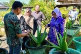 Wabup Kotim sebut banyak pelajaran didapat dari kunjungan kerja ke Kalbar