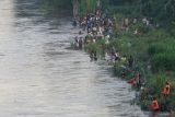 Warga berburu ikan saat digelarnya kegiatan pladu (flushing atau penggelontoran) air Sungai Brantas di Tulungagung, Jawa Timur, Minggu (27/4/2025). Kendati berbahaya dan acapkali memakan korban, tradisi pladu yang digelar setahun sekali ini selalu menjadi daya tarik warga untuk berburu ikan 