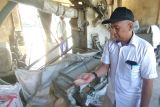 Peningkatan curah hujan jadi tantangan pascapanen petani di Kotim