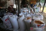 Pekerja melakukan proses produksi pakan ternak di desa  Sibreh, kabupaten Aceh Besar, Aceh,  Selasa (29/4/2025).  Menurut pelaku usaha di daerah itu, Industri pengolahan pakar ternak dengan kapasitas produksi mencapai 5 hingga 6 ton per hari dan menggunakan bahan baku lokal di daerah itu,  dipasarkan di seluruh daerah sentra ternak di provinsi Aceh dengan harga penjualan mencapai  Rp165.000 per zak (50 kg) untuk kebutuhan sapi pedaging, sapi perah, kambing dan domba. ANTARA FOTO/Ampelsa.