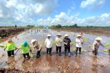 Kementan berharap program cetak sawah di Kotim tingkatkan kesejahteraan petani