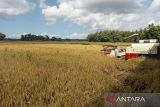 DKPP Bantul siapkan ribuan pompa air antisipasi musim kemarau