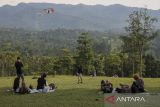 Wisatawan bermain layang-layang saat mengunjungi agrowisata Bukit Waruwangi di Kabupaten Serang, Banten, Kamis (1/5/2025). Objek wisata alam seluas kurang lebih 100 hektare yang menawarkan panorama perbukitan dan konsep wisata peternakan tersebut menjadi salah satu destinasi favorit yang ramai dikunjungi saat akhir pekan atau musim liburan. ANTARA FOTO/Angga Budhiyanto/gp