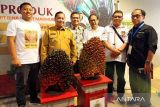 Bupati Kotim akui penurunan produksi berdampak besar pada DBH sawit