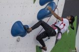 Kualifikasi Lead Putri IFSC Climbing World Cup Bali. Atlet panjat tebing Indonesia Najiha Zahra berusaha memanjat mencapai puncak pada babak kualifikasi kategori lead putri seri ketiga IFSC Climbing World Cup 2025 di Pulau Peninsula, Nusa Dua, Bali, Jumat (2/5/2025). Dalam babak kualifikasi tersebut atlet Jepang Ai Mori dan atlet Britania Raya Erin Mcneice meraih posisi teratas setelah meraih puncak di dua rute. ANTARA FOTO/Bayu Pratama S/wsj.