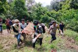 BKSDA Sumbar tangani 11 konflik satwa di Agam selama empat bulan