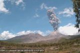 Gunung Lewotobi Laki-laki erupsi lagi pada Jumat