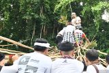 Warga memanjat tongkat yang disatukan oleh warga lainnya saat mengikuti tradisi Mekotek di kawasan Munggu, Badung, Bali, Sabtu (3/5/2025). Tradisi saat Hari Raya Kuningan itu diikuti ribuan warga setempat untuk menolak bala dan memohon keselamatan. ANTARA FOTO/Fikri Yusuf/wsj.