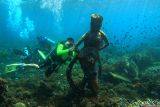 Penyelam mengamati patung penari gandrung yang ditenggelamkan di Pantai Bangsring, Banyuwangi, Jawa Timur, Minggu (4/5/2025). Kawasan bawah laut seluas 15 hektar yang dahulu rusak akibat penangkapan ikan tidak ramah lingkungan tersebut kini telah pulih berkat upaya tranplantasi terumbu karang oleh kelompok nelayan Samudra Bakti sejak 2009 dan kini menjadi habitat bagi beragam biota laut. Antara Jatim/Budi Candra Setya/um