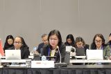 AFMGM+3 stresses commitment to stability, regional integration