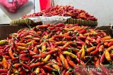 Bapanas catat harga daging ayam Rp33.500/kg, cabai rawit Rp45.417/kg
