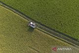 Foto udara petani memanen padi menggunakan mesin Combine Harvester di Desa Rawadalem, Balongan, Indramayu, Jawa Barat, Senin (5/5/2025). Badan Pusat Statistik (BPS) memperkirakan produksi padi pada periode Januari-Juni 2025 mencapai 32,57 juta ton gabah Kering Giling (GKG) atau meningkat 3,27 juta ton dibanding periode yang sama pada tahun 2024. ANTARA FOTO/Dedhez Anggara/agr