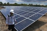 IESR menemukan potensi EBT di pulau Timor NTT capai 30 GW