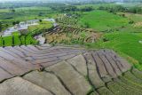 Foto udara petani menanam padi di terasering lahan pertanian padi Desa Kalisemut, Kecamatan Padang, Lumajang, Jawa Timur, Rabu (7/5/2025). Pemerintah mengalokasikan anggaran ketahanan pangan lebih dari Rp155 triliun pada 2025 untuk mendorong produktivitas pertanian dan perikanan juga memastikan ketersediaan pangan bagi masyarakat serta meningkatkan nilai tukar petani dan nelayan. Antara Jatim/Irfan Sumanjaya/um