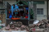 Petugas menurunkan daging babi hutan selundupan dari atas truk pengangkut di halaman kantor Balai Karantina Hewan, Ikan, dan Tumbuhan (BKHIT) Banten, Kota Cilegon, Banten, Rabu (7/5/2025). BKHIT Banten menggagalkan upaya penyelundupan sebanyak kurang lebih 2,9 ton daging babi hutan (celeng) tanpa dokumen kesehatan asal Lampung Tengah yang rencananya akan dikirim ke Palangka Raya dari sebuah truk yang dikamuflase dengan muatan dedak dan jagung di bagian atas daging. ANTARA FOTO/Angga Budhiyanto/gp