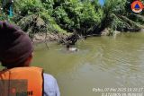 Tim gabungan Agam temukan petani mengapung di sungai kondisi meninggal