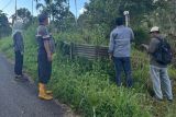Petugas ukur BPN Pasaman lakukan pengukuran pemecahan tanah di Nagari Tanjung Beringin