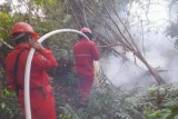 BPBD Sumsel ingatkan perusahaan perkebunan siagakan peralatan hadapi karhutla