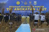 Kepala Staf Angkatan Laut (KSAL) Laksamana TNI Muhammad Ali (depan kedua kiri) bersama Inisiator Gerakan Indonesia Menanam (Gerina) Ustadz Adi Hidayat (depan kiri), Ketua Baznas Noor Achmad (depan ketiga kanan), dan Dirjen Tanaman Pangan Kementerian Pertanian Yudi Sastro (depan kedua kanan) menunjukkan kacang kedelai jenis Migo AL. 1-89 saat panen di Desa Rancasanggal, Cinangka, Kabupaten Serang, Banten, Kamis (8/5/2025). Panen di lahan seluas 1,5 hektare dan menghasilkan sekitar 4,4 ton kacang kedelai jenis Migo AL. 1-89 tersebut merupakan proyek percontohan dalam mendukung program ketahanan pangan nasional. ANTARA FOTO/Angga Budhiyanto/gp