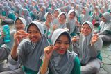 Fungsi zat besi dan solusi fortifikasi gizi bagi balita