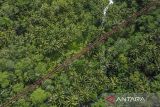 Foto udara jembatan rel kereta api Cikacepit di Desa Pamotan, Kabupaten Pangandaran, Jawa Barat, Rabu (7/5/2025). Jembatan kereta api terpanjang di Indonesia dengan bentangan 310 meter yang dibangun pada zaman Pemerintahan Belanda tahun 1913-1916 itu, pernah menjadi lintasan kereta api jurusan Banjar-Cijulang dan rencananya Pemerintah Provinsi Jawa Barat akan reaktivasi jalur kereta api di Jawa Barat senilai Rp15 triliun. ANTARA FOTO/Adeng Bustomi/agr