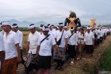 Umat Hindu mengarak Barong Landung saat ritual Ngerebeg Wraspati Ngepik di Desa Adat Tegal, Abiansemal, Badung, Bali, Kamis (8/5/2025). Ritual yang digelar setiap enam bulan sekali atau tepatnya lima hari setelah Hari Raya Kuningan tersebut untuk memohon keselamatan dan perlindungan dari Tuhan serta sebagai tolak bala agar terhindar dari wabah penyakit. ANTARA FOTO/Nyoman Hendra Wibowo/wsj.