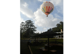 Sebuah balon udara terbang membawa pengunjung saat wisata di Melrimba Resto Garden, Cisarua, Kabupaten Bogor, Jawa Barat, Senin (5/5/2025). Wisata balon udara yang pertama kali hadir di kawasan Puncak, Bogor tersebut menjadi tempat favorit bagi pengunjung menyaksikan panorama Puncak, Bogor di ketinggian 50 meter dengan durasi 15 menit dan harga Rp850 ribu per orang. ANTARA FOTO/Arif Firmansyah/foc.