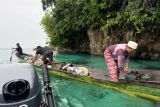 Ikan hasil tangkapan pakai bahan peledak tidak layak konsumsi