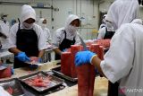 Mendag melepas ekspor tuna asal Sumbar ke UEA senilai Rp1,87 miliar