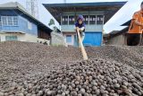 Pemprov Lampung sebut Koperasi Merah Putih wadah kelola potensi desa