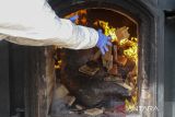 Petugas memasukkan daging babi hutan selundupan ke dalam incinerator untuk dimusnahkan di Instalasi Karantina Hewan Satuan Pelayanan Merak, Kota Cilegon, Banten, Jumat (9/5/2025). Balai Karantina Hewan, Ikan, dan Tumbuhan (BKHIT) Banten memusnahkan sebanyak 2,9 ton daging babi hutan (celeng) tanpa dokumen kesehatan asal Seputih Raman, Lampung Tengah yang rencananya akan dikirim ke Palangka Raya, Kalimantan Tengah karena tidak layak konsumsi dan dapat membahayakan kesehatan masyarakat. ANTARA FOTO/Angga Budhiyanto/gp