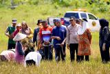Pemkab Natuna tetapkan 342,63 ha sebagai lahan pertanian pangan