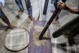 Sejumlah warga menumbuk padi ketan dalam rangkaian tradisi Nutuk Beham di Kedang Ipil, Kecamatan Kota Bangun Darat, Kabupaten Kutai Kartanegara, Kalimanatan Timur, Sabtu (10/5/2025). Tradisi Nutuk Beham itu merupakan ungkapan rasa syukur kepada Sang Pencipta atas hasil panen yang melimpah juga sebagai upaya merawat identitas budaya adat Kutai lama. Antara Kaltim/M Risyal Hidayat