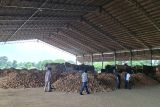 30 pabrik tapioka di Lampung ikuti Instruksi Gubernur soal harga ubi kayu
