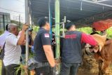 Pemkab Lampung Selatan kerahkan 117 petugas awasi kesehatan hewan kurban